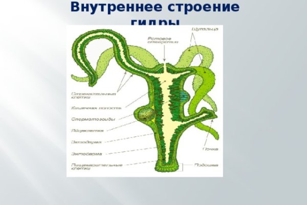 Не могу зайти на сайт кракен