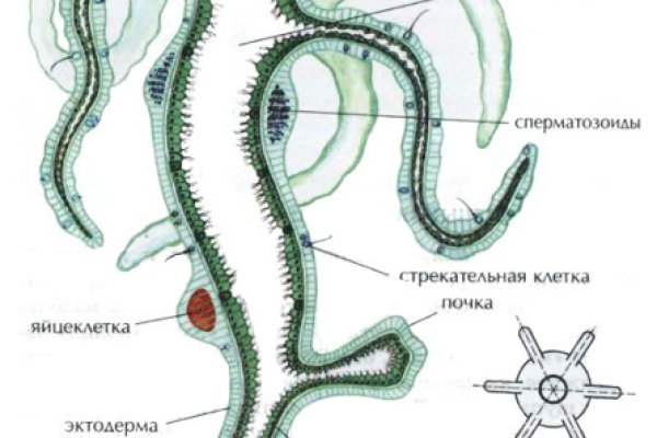 Кракен зарегистрироваться