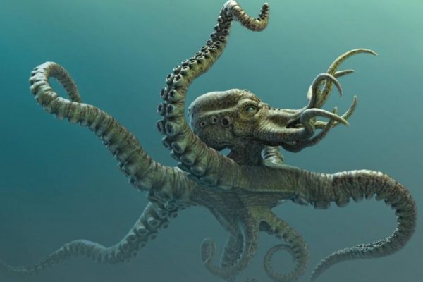 Сайт кракен kraken krakens15 at